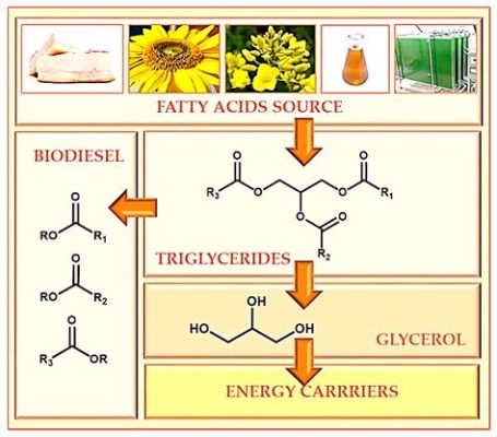  Glycerol: การนำไปใช้ในการผลิตโฟมและไบโอดีเซล!?